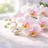 Orchid