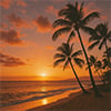 Hawaiian Sunset