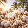 Exotic Cotton